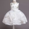 Homrain Flower Girl Dress With Appliques | Flower Girl Dresses