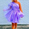 Homrain A-Line One Shoulder Organza Homecoming Dress With Ruffle | Purple Hoco Dresses